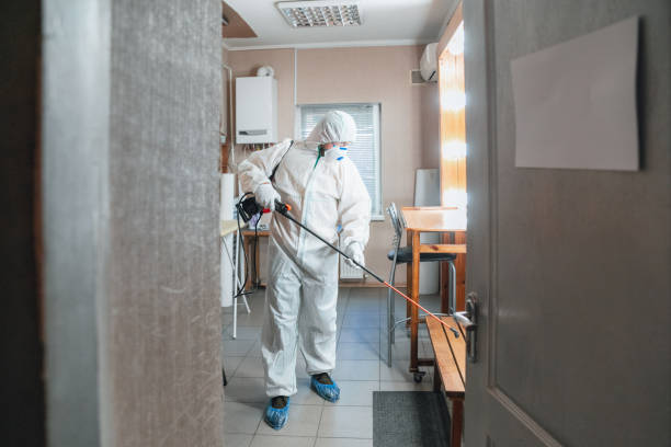 Best Post-Remediation Verification Testing  in Poland, OH