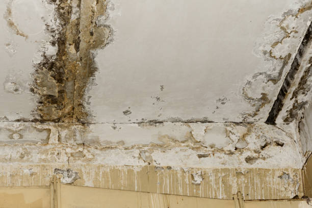 Best Real Estate Mold Inspection  in Poland, OH