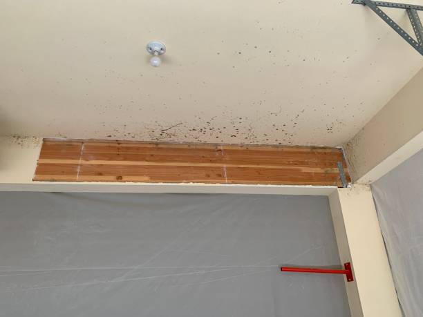 Best Commercial Mold Inspection  in Poland, OH